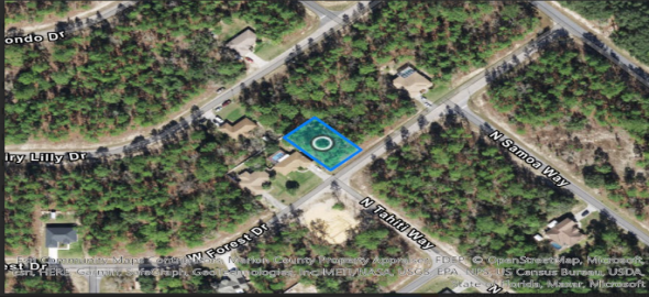3765 W FOREST DR Citrus Spgs Florida, 34433 | Beautiful Residential Land