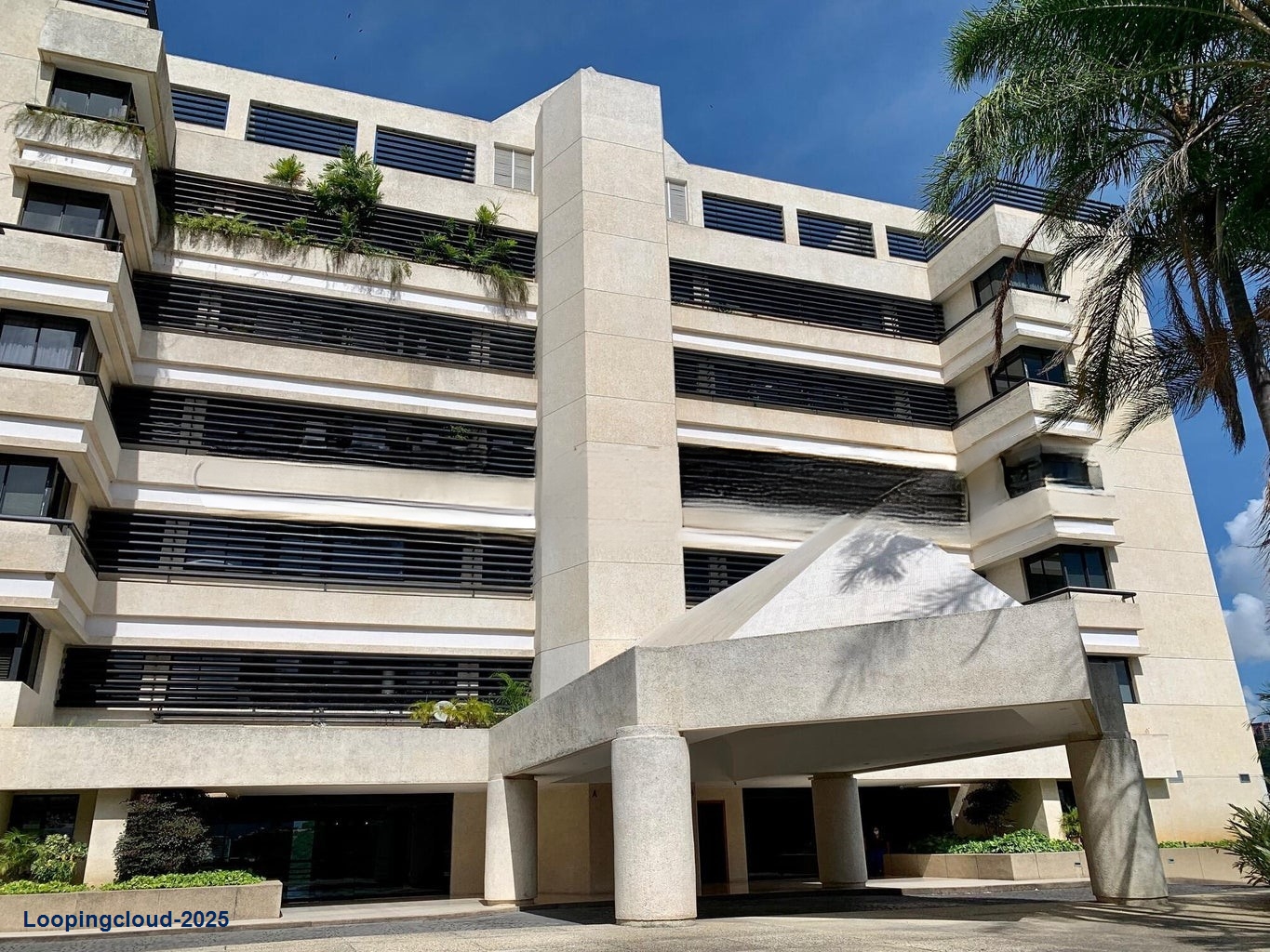 Beautiful and modern Apartment