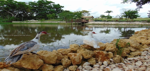 Macao , Punta Cana  Dominican Republic,  | Residential land