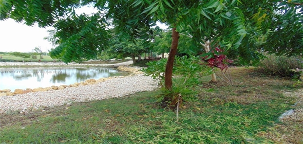 Macao , Punta Cana  Dominican Republic,  | Residential land