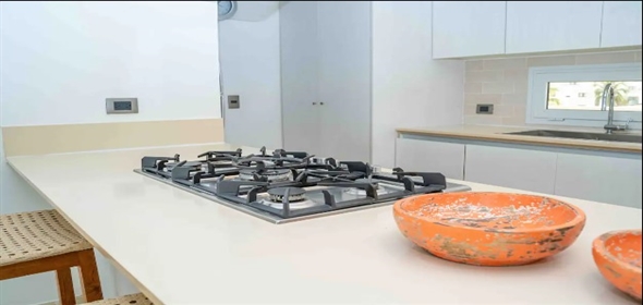 1 C Marcio Maggiolo, Punta El Cortecito , Punta Cana  Dominican Republic, 23203 | Ocean View PH Private Picussi