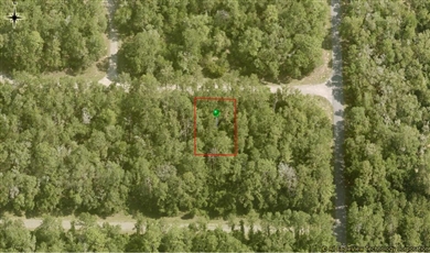 Beautiful Residential Land