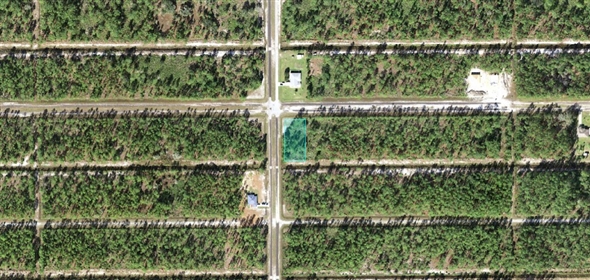 Japonica Ave Indian Lake Estates Florida, 33855 | Beautiful Residential Land