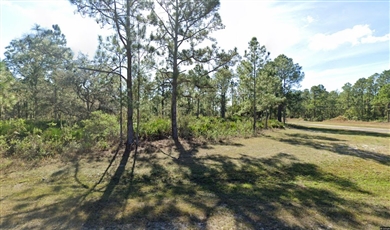 Beautiful Residential Land