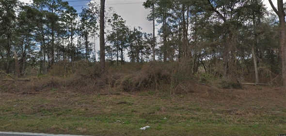 Richardson Blvd, Webster, FL 33597 Webster Florida, 33597 | Convenient Residential Land