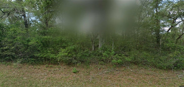 568 W Virginis Dr Citrus Spgs Florida, 34434 | Beautiful Residential Land