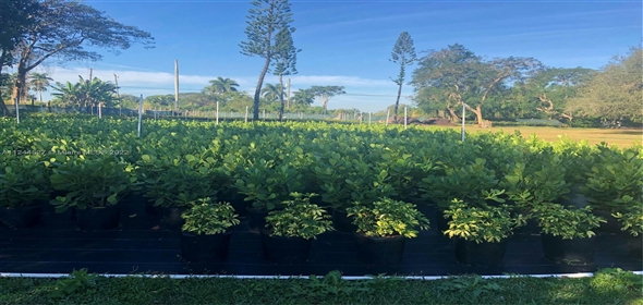 23601 SW 187th Ave Homestead Florida, 33031 | Commercial Property