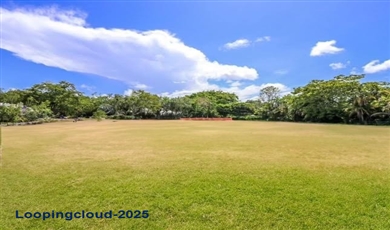  Beautiful Residential Land