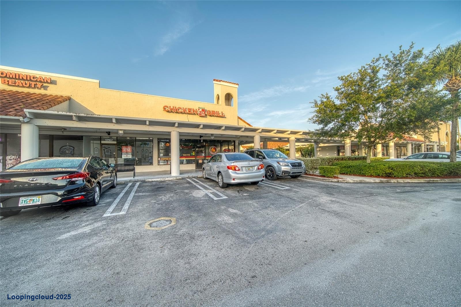 Natural Chicken Grill