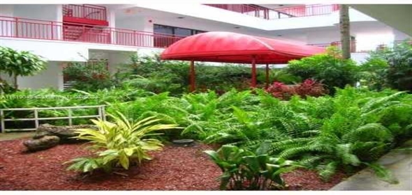 6175 NW 153rd St # 204 Miami Lakes Florida, 33014 | Commercial Property Office