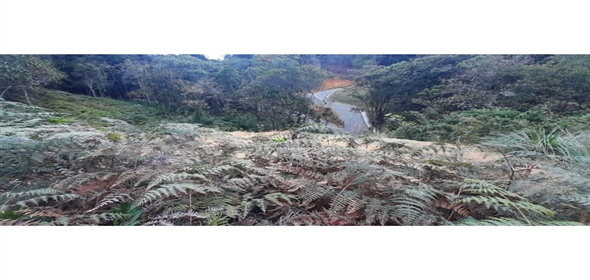 Altos Loma Del Escobero Envigado Antioquia,  | Residential Lot for Sale in Altos del Escobero