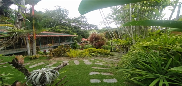 Guataparo Country Club Valencia Carabobo, 2001 | Splendid House in Guataparo Country Club