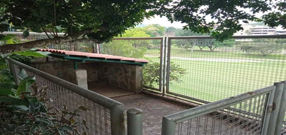 Guataparo Country Club Valencia Carabobo, 2001 | Splendid House in Guataparo Country Club