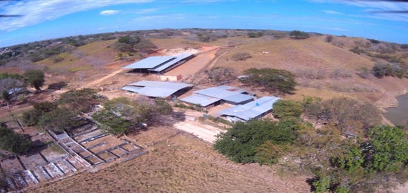 Paraiso  Herrera, 05001 | Dairy Farm in Paraiso