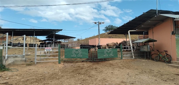 Paraiso  Herrera, 05001 | Dairy Farm in Paraiso