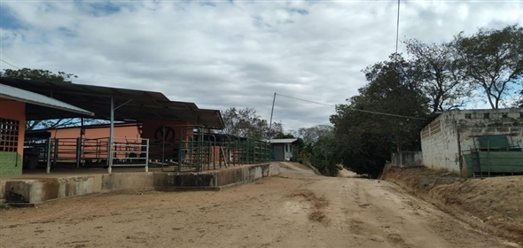 Paraiso  Herrera, 05001 | Dairy Farm in Paraiso