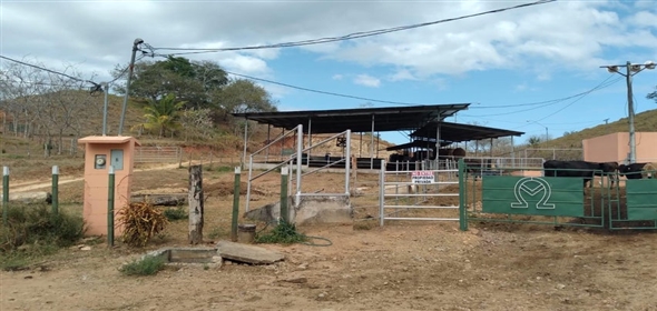 Paraiso  Herrera, 05001 | Dairy Farm in Paraiso
