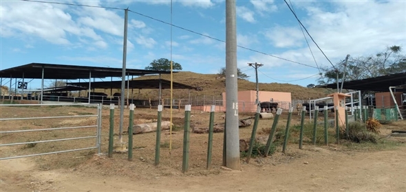 Paraiso  Herrera, 05001 | Dairy Farm in Paraiso