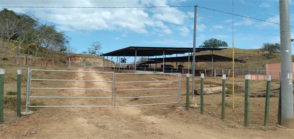 Paraiso  Herrera, 05001 | Dairy Farm in Paraiso