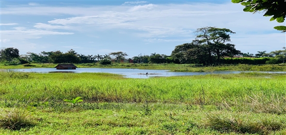 Pedasi Panama City Panamá Province, 06065 | Lot for sale