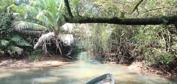 Martín Pérez, Isla del Rey Panama City Panamá Province, 07127 | Splendid Commercial Land - Terreno en Balboa