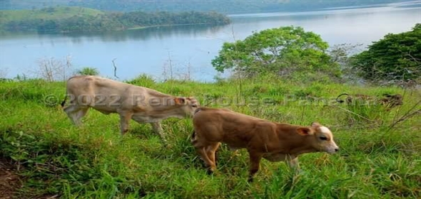 Las Canitas Panama City Panamá Province, 07127 | Agro-Ecotourism Development