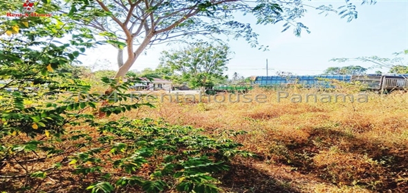 Santa Ana Las Tablas Los Santos, 06050 | Commercial Space