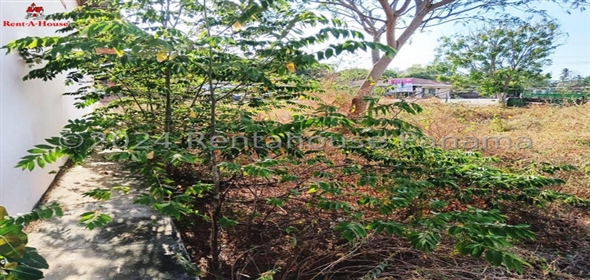 Santa Ana Las Tablas Los Santos, 06050 | Commercial Space