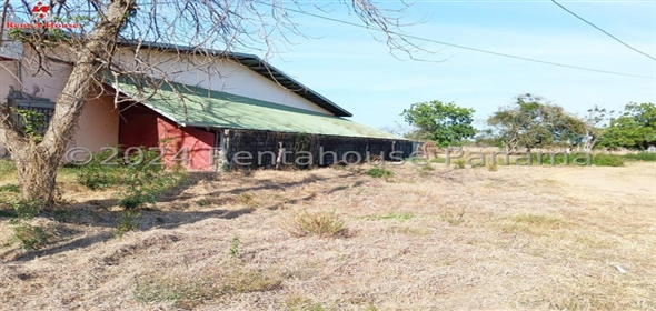 Santa Ana Las Tablas Los Santos, 06050 | Commercial Space