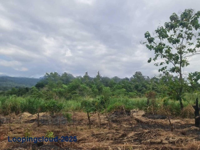 Land for Sale in Panama City Panamá Province 07127