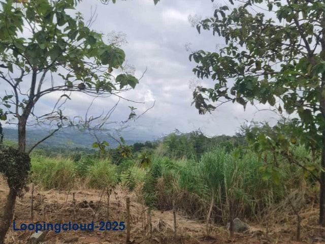 Land for Sale in Panama City Panamá Province 07127