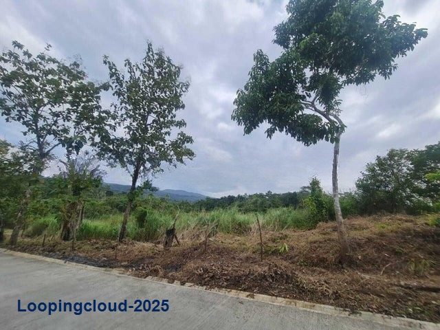 Land for Sale in Panama City Panamá Province 07127