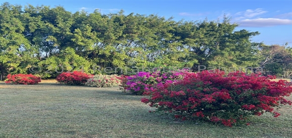 Carretera Rio Grande, Penonome Penonome Cocle, 02017 | Exclusive Villa - Espectacular Villa en Cocle