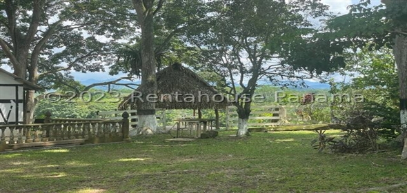 Finca en la Chorrera Carretera los mortales, , corregimiento obaldia, Lachorrera, Bocas Del Toro Bocas del Toro, 07127 | Commercial Property - Finca en La Chorrera