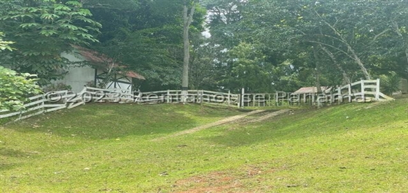 Finca en la Chorrera Carretera los mortales, , corregimiento obaldia, Lachorrera, Bocas Del Toro Bocas del Toro, 07127 | Commercial Property - Finca en La Chorrera