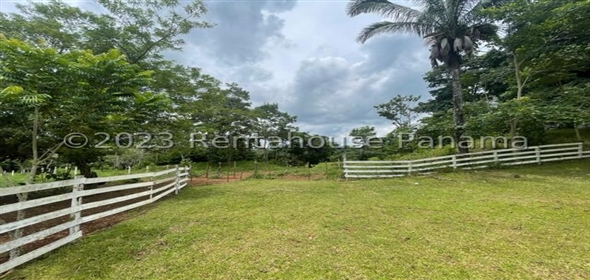 Finca en la Chorrera Carretera los mortales, , corregimiento obaldia, Lachorrera, Bocas Del Toro Bocas del Toro, 07127 | Commercial Property - Finca en La Chorrera