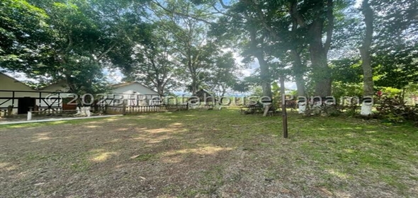 Finca en la Chorrera Carretera los mortales, , corregimiento obaldia, Lachorrera, Bocas Del Toro Bocas del Toro, 07127 | Commercial Property - Finca en La Chorrera