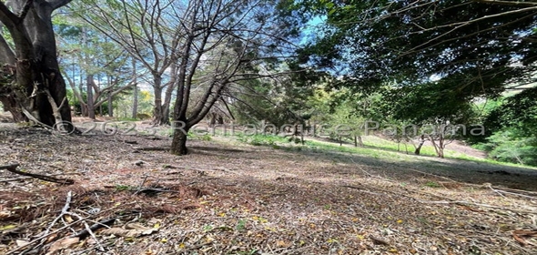 Altos Del María Calle Laurel Calle Comagre 71/72 Panama City Panamá Province, 07140 | Beautiful Lot- Lote en Altos de María, Panamá