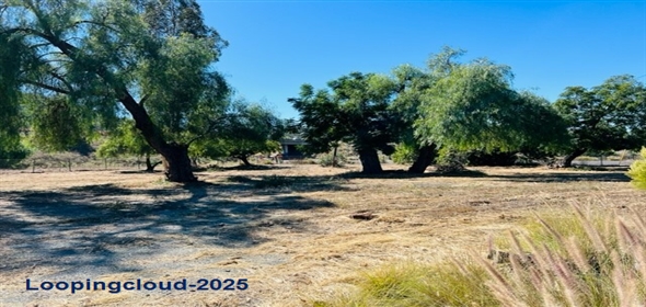 9509 Chocolate Summit Dr El Cajon California, 92021 | Exclusive Land