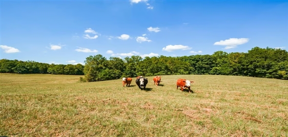 421 Tidwell Road Powder Springs Georgia, 30127 | Prime Industrial Space & Development Potential