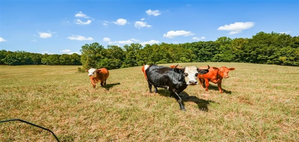 421 Tidwell Road Powder Springs Georgia, 30127 | Prime Industrial Space & Development Potential