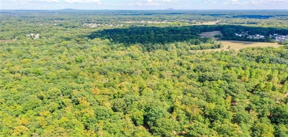 421 Tidwell Road Powder Springs Georgia, 30127 | Prime Industrial Space & Development Potential