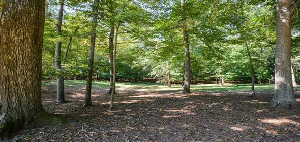 421 Tidwell Road Powder Springs Georgia, 30127 | Prime Industrial Space & Development Potential