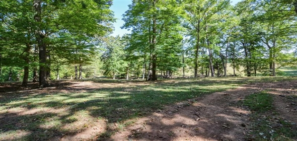 421 Tidwell Road Powder Springs Georgia, 30127 | Prime Industrial Space & Development Potential