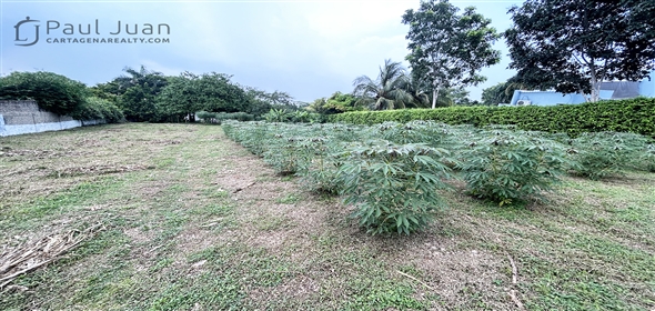 Torrecilla Subdivision. Near the Botanical Garden.  Bolivar, 131001 | Lot near the Botanical Garden