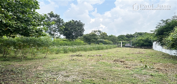 Torrecilla Subdivision. Near the Botanical Garden.  Bolivar, 131001 | Lot near the Botanical Garden