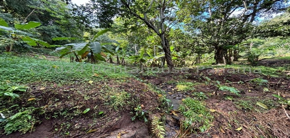 Terreno Chilibre Ruta Corredor Norte Salida Chilibre Av. Madden Panama City Panamá Province, 07141 | Commercial Land in Chilibre - Terreno Comercial enChilibre