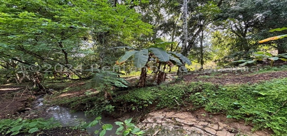 Terreno Chilibre Ruta Corredor Norte Salida Chilibre Av. Madden, Panama City Panamá Province, 07141 | Exclusive Land for Rent