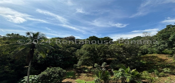 Terreno Chilibre Ruta Corredor Norte Salida Chilibre Av. Madden, Panama City Panamá Province, 07141 | Exclusive Land for Rent