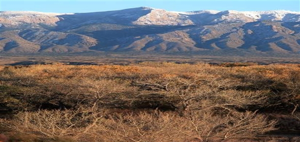 2320 Central Avenue SW 101 Albuquerque New Mexico, 87104 | First Generation Retail Space